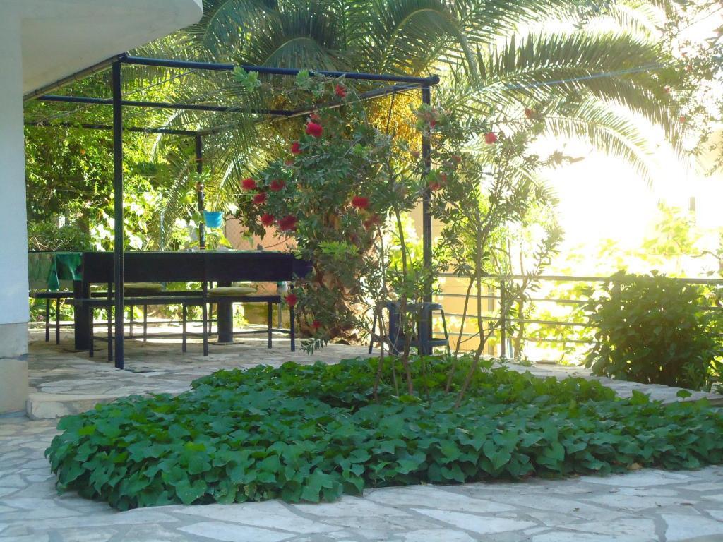 Apartments Villa Petranovic ブドヴァ エクステリア 写真