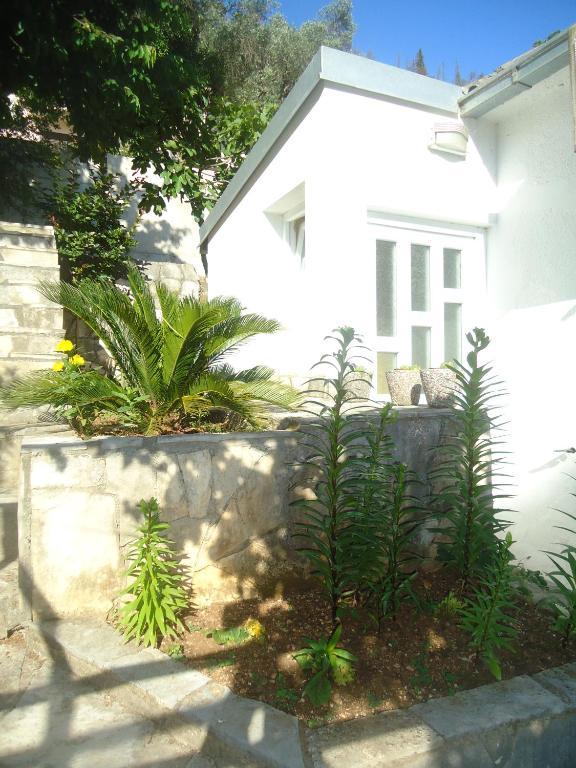 Apartments Villa Petranovic ブドヴァ 部屋 写真