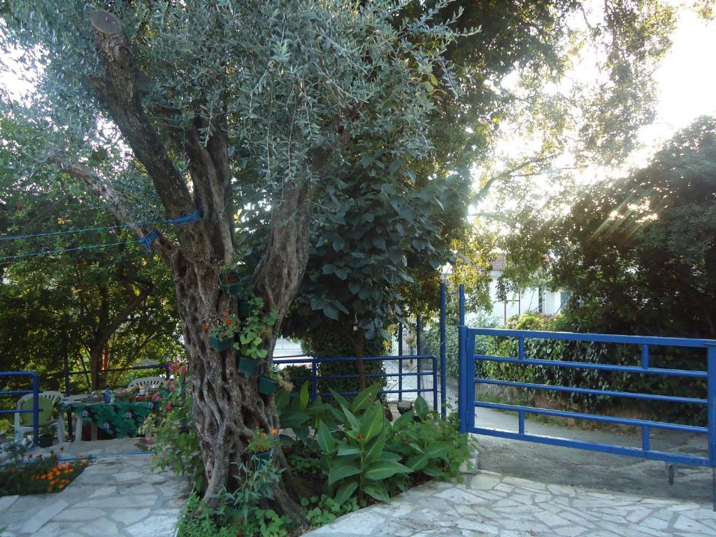 Apartments Villa Petranovic ブドヴァ エクステリア 写真